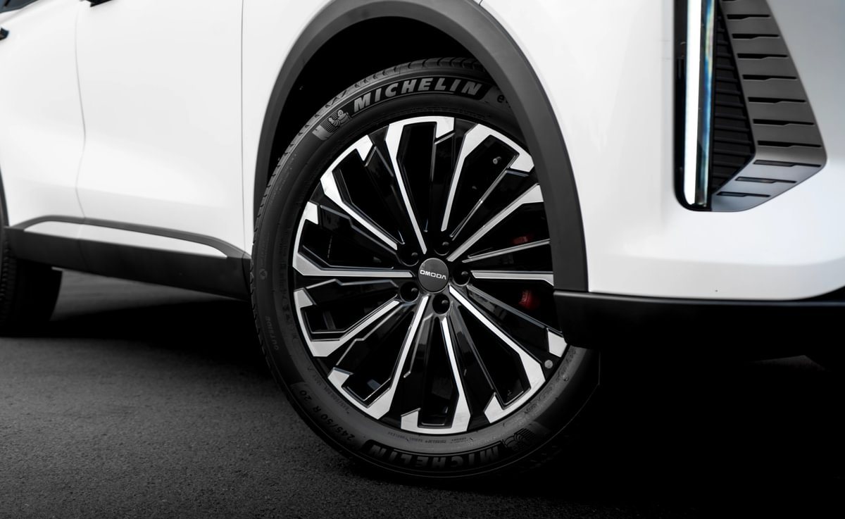 DSC00739 - Medium (1)