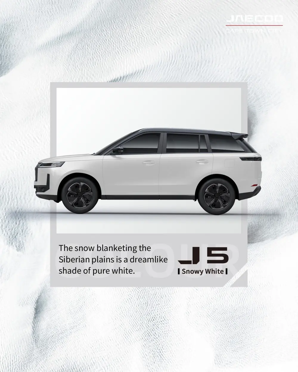 J5 Snowy Whte